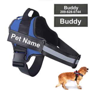 Buckles
