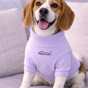 Dog Apparel