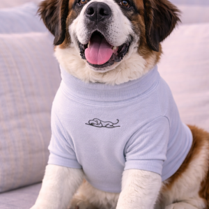 Cloud Ash- Dog Tee